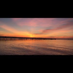 Meet your Posher, Brynn